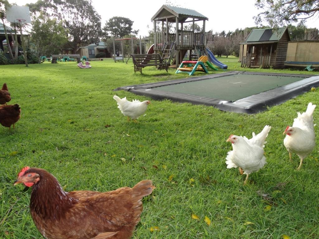 Ripples N Tonic Farmstay Ventnor Esterno foto